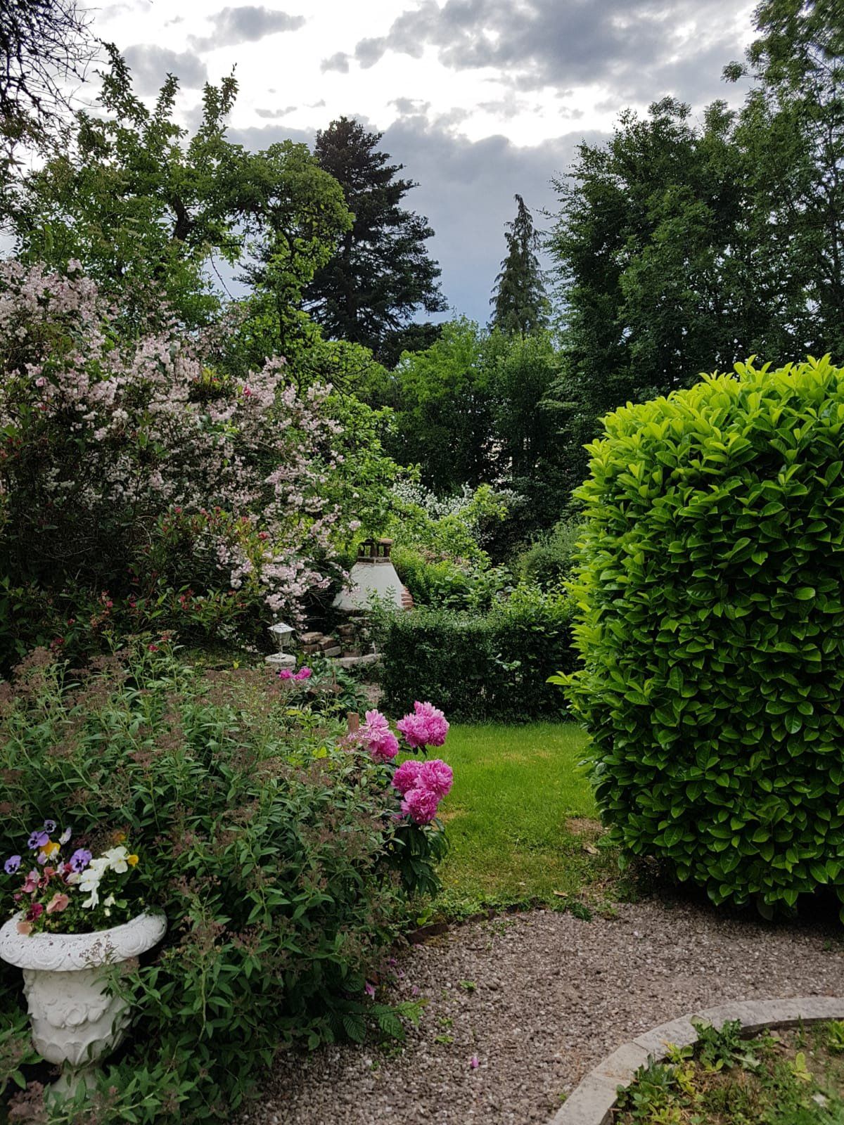 Massifs de pivoines et vase ancien